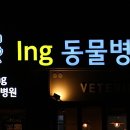 아이앤지동물병원 이미지