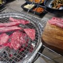 뿔난소 이미지