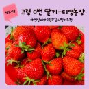 옛살비농장 이미지