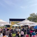 석교마을회관 | [고양시축제] 창릉천 유채꽃축제 다녀오기 🌼