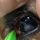 계양동물병원 이미지