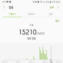 소이뉴코아