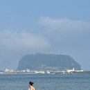 오채 | 제주도 서귀포 성산 신축 오션뷰 숙소 오채플러스 추천