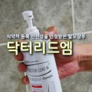 리드 엠(Lead M)