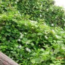 신영목장 이미지