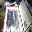 오늘도 여수 이미지