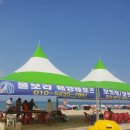 물보라 해양레포츠 네이버블로그