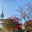 티스테이션 남산점 앞 횡단보도 | 서울 남산 하늘숲길 단풍 산책코스 남산둘레길 주차 입구 * 주차장 4곳 도전기