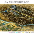 콩마루 이미지