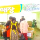 음성인삼 Daum카페