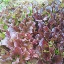 이종섭 농장 이미지