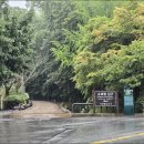 어리연 | 8/9(토) 담양 배롱나무꽃 상황 명옥헌 소쇄원 메타세콰이어 가로수길 여행 후기