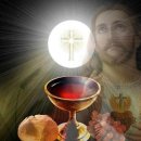 2023년 6월 11일 주일 (백) 지극히 거룩하신 그리스도의 성체 성혈 대축일 이미지