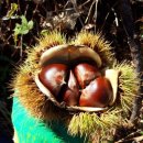 광양이야기 이미지