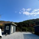 자작나무뜰 오토캠핑장 이미지