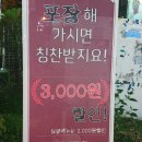 삶 오로지 다 네이버블로그