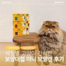 보양푸드 | 기호성 좋은 고양이 간식 보양대첩 미니 보양캔 후기 | 고양이 습식캔 추천