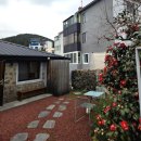 스테이아호이 | [제주] 제주시 감성 독채 펜션 추천, 스테이아호이 내돈내산 솔직후기