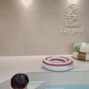 동기 | 평촌 릴리풀 동기 모임 다녀온 후기