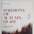 가을빛 콘서트 이미지