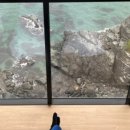 힘력풍천장어 이미지