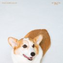 노블스튜디오 네이버블로그