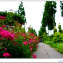 푸른수목원 이미지