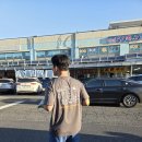 대천항 수산시장 첫 방문 후기, 부흥수산에서 광어·전어 득템!