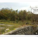 미래부동산중개사무소 이미지