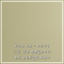 펫엔글라이더 - 천안시 서북구 망향로 283 | 펫엔글라이더