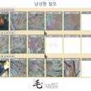 불로장생모