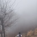 당재민박 이미지