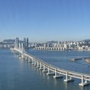 (주)대교 | 부산 파크하얏트 디럭스 오션뷰 후기 | 광안대교 뷰 + 조식 + 기업 할인 꿀팁 + 럭셔리 호텔 비교