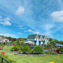 오늘, 제주 이미지