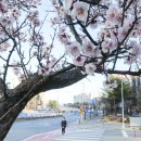 대덕대로-23 이미지