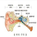 외이도염 원인 초기 통증 이미지