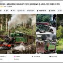 빌리 | 멜버른 퍼핑빌리 투어 기차 후기 자리 꿀팁 공유