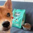 인섹트 파워 이미지