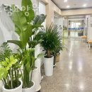 해드림요양원 이미지