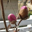 마이티농장 이미지