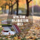 한국싸나톨로지협회 이미지