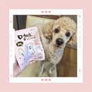 [강아지 아이스크림] 강아지도 먹을 수 있는 구슬아이스크림 &#34;멍미&#34; 범돌이 급여 후기