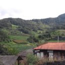 의림지민박 이미지