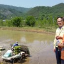 내서면행정복지센터 이미지