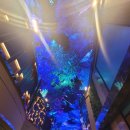 돌고래게임장 이미지