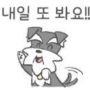 일산 클래식 동물병원 이미지