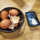 해초과메기앞산대명점 | 대구 앞산 맛집 해초과메기 대명점 올해도 재방문 후기