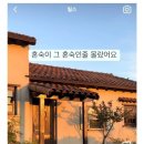 펜션 혼숙 논란. 이미지