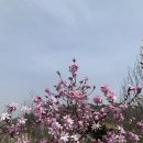 영인산자연휴양림 이미지