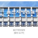 ‘스트레스 풀려고…’ 유기묘 21마리 기증받아 죽인 20대 재판행 이미지